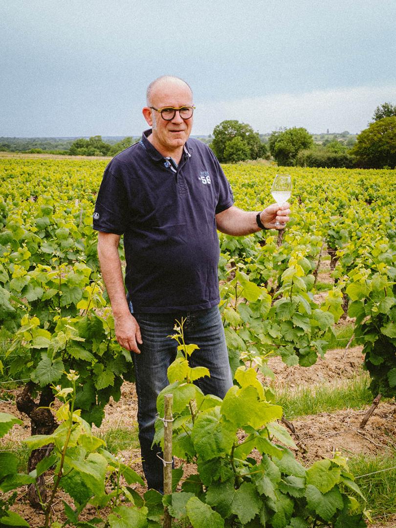 Vin pays nantais Vallet